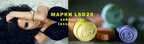 прущий лед Каменка