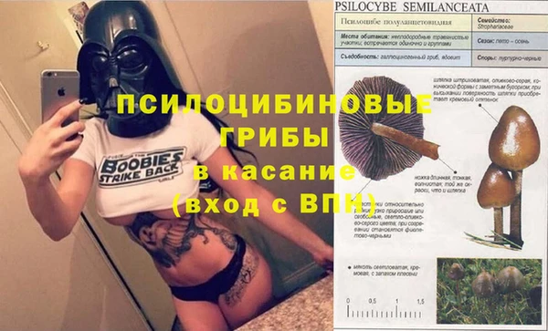 прущая мука Алзамай