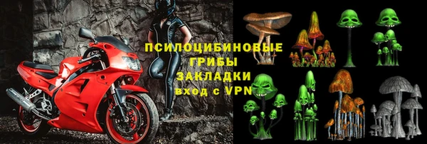 прущая мука Алзамай