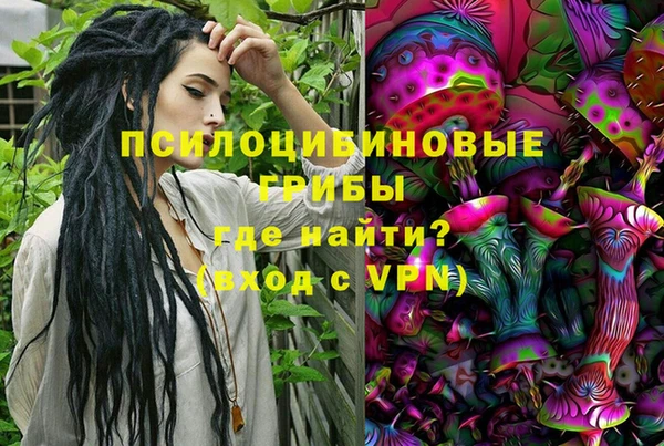 прущая мука Алзамай
