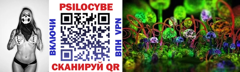 что такое   гидра зеркало  Псилоцибиновые грибы MAGIC MUSHROOMS  Вологда 